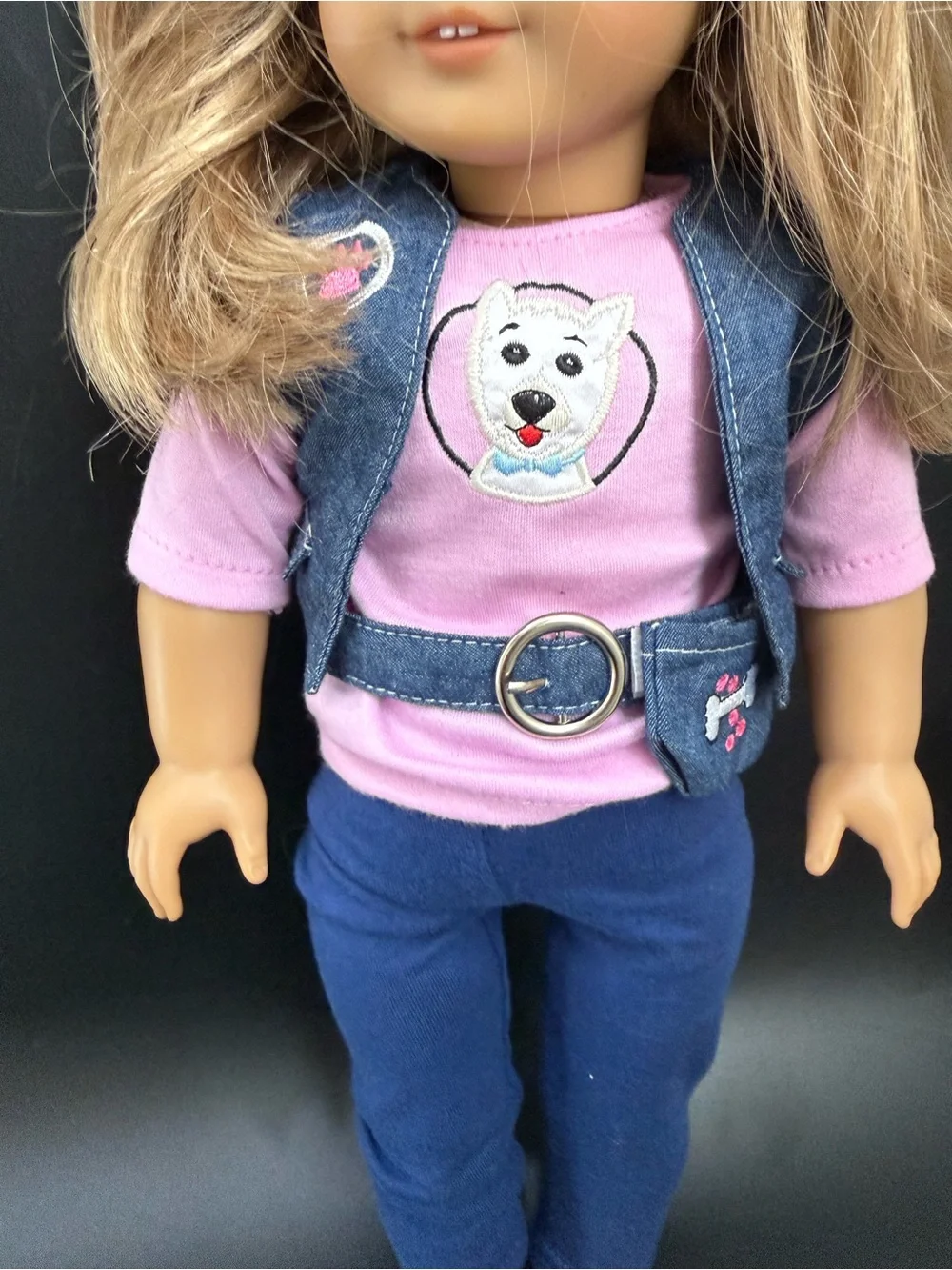 AMERICAN GIRL Truly Me Dress Along Dolly Dog Walker Outfit 18” Doll